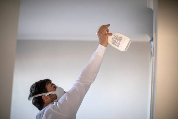 Best Toxic Mold Removal  in Winchester, KY