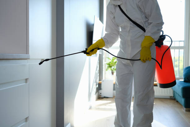 Best Fast Mold Removal  in Winchester, KY