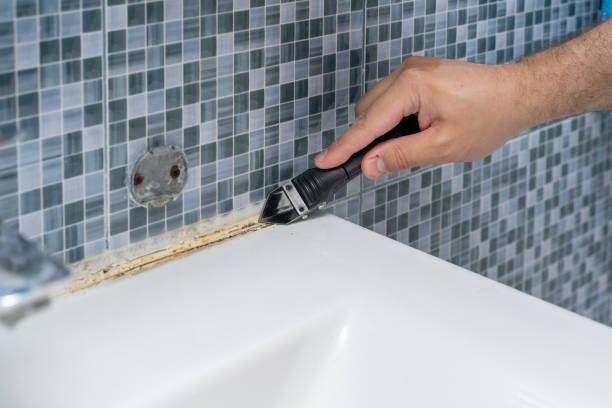 Professional Mold Removal in Winchester, KY